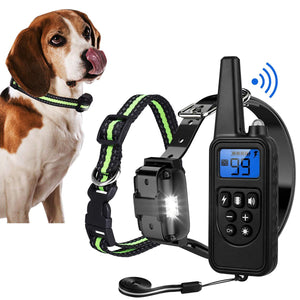 2 Biggest Mistakes to Avoid When Using a Dog Shock Collar for Training Dogs