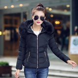 Fur Collar Hooded Cotton Padded Winter Jacket Women