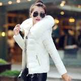 Fur Collar Hooded Cotton Padded Winter Jacket Women