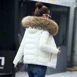 Fur Collar Hooded Cotton Padded Winter Jacket Women