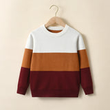 Boys College Style Striped Contrasting Sweater