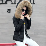 Fur Collar Hooded Cotton Padded Winter Jacket Women