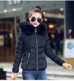 Fur Collar Hooded Cotton Padded Winter Jacket Women
