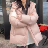 Winter Women Parkas Down