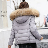 Fur Collar Hooded Cotton Padded Winter Jacket Women