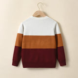 Boys College Style Striped Contrasting Sweater