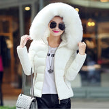 Fur Collar Hooded Cotton Padded Winter Jacket Women