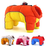 Winter Pet Dog Clothes/Jacket